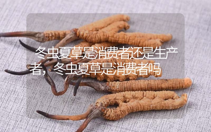 貧血吃冬蟲(chóng)夏草有效果嗎，貧血虛弱者可以用冬蟲(chóng)夏草嗎？