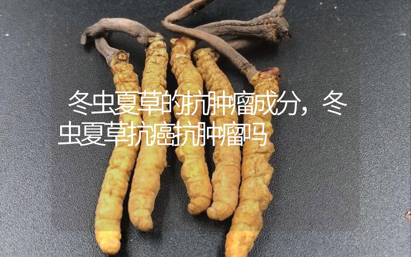 冬蟲夏草的抗腫瘤成分，冬蟲夏草抗癌抗腫瘤嗎？