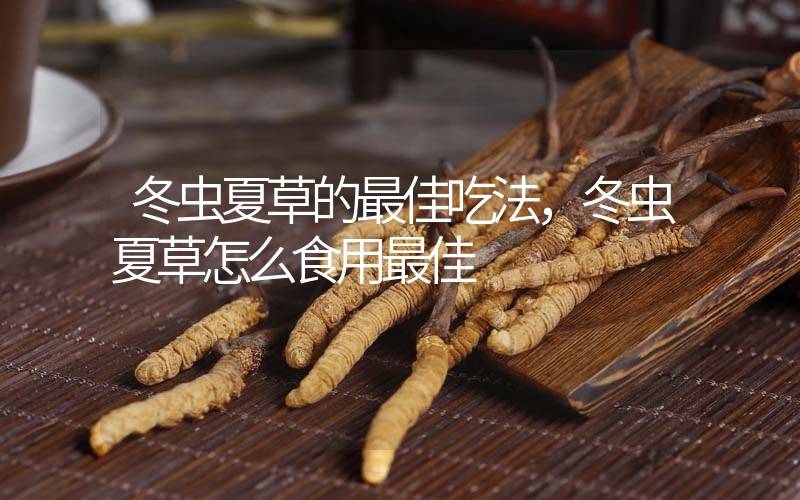 冬蟲夏草的最佳吃法，冬蟲夏草怎么食用最佳