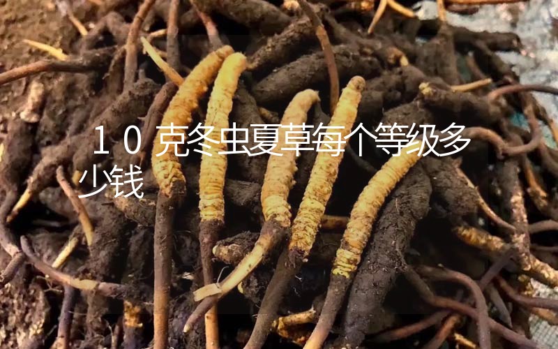 10克冬蟲夏草每個(gè)等級(jí)多少錢？