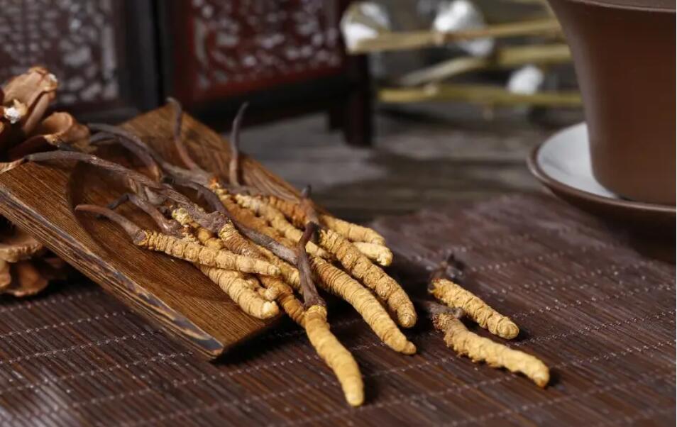 冬蟲夏草怎么選擇，冬蟲夏草選怎么樣的最好?