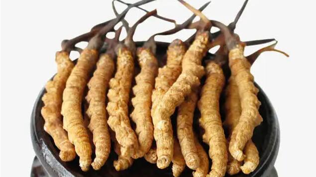 二級(jí)蟲(chóng)草價(jià)格