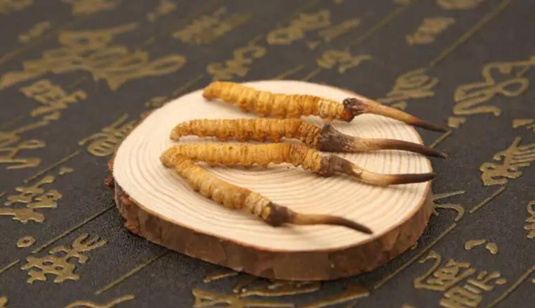 哪個(gè)產(chǎn)地的冬蟲夏草營養(yǎng)價(jià)值高