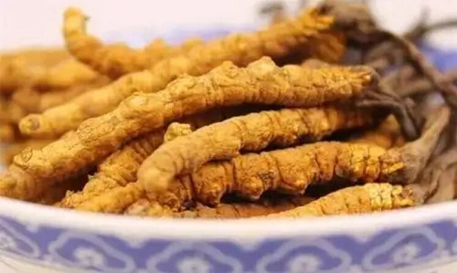 長(zhǎng)期服用冬蟲夏草會(huì)砷中毒嗎