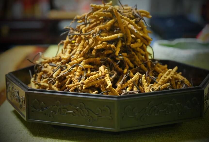 <a href=http://www.baduowang.com/ target=_blank class=infotextkey>冬蟲夏草</a>