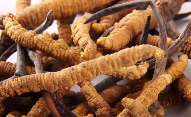 <a href=http://www.baduowang.com/chifa/ target=_blank class=infotextkey>冬蟲夏草的吃法</a>