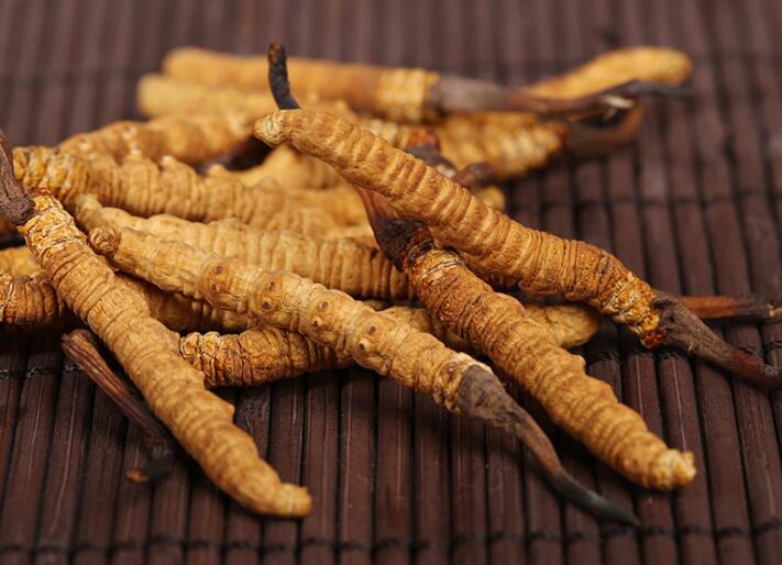 什么樣的冬蟲夏草算是優(yōu)質(zhì)的？
