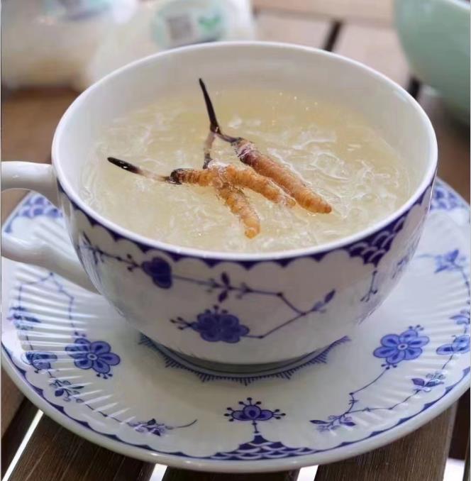 養(yǎng)生小竅門：冬蟲夏草燉什么好喝？
