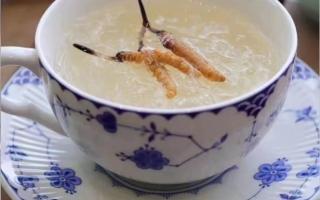 冬蟲夏草燉燕窩怎么做？