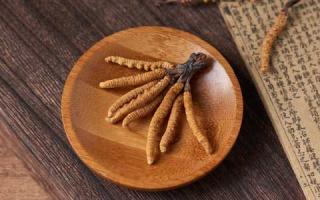 不同需求時(shí)購(gòu)買冬蟲(chóng)夏草的選擇！