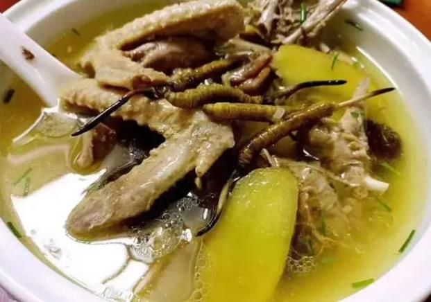 冬蟲(chóng)夏草和哪些食材可以一起煲湯？