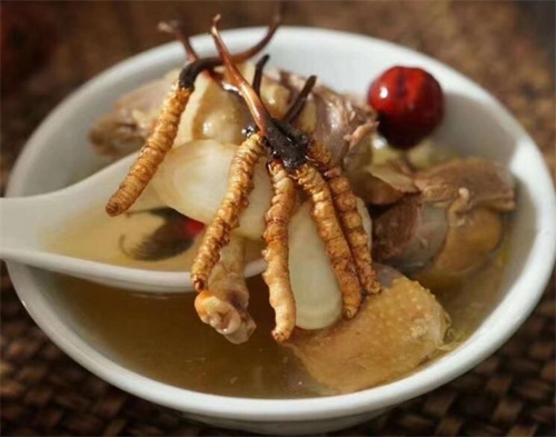 冬蟲夏草用什么壺煮水？