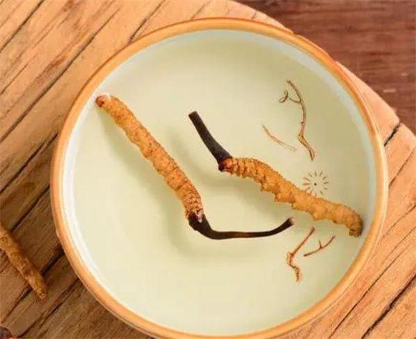 老人怎樣服用冬蟲(chóng)夏草？