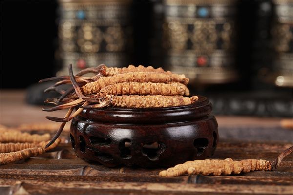 冬蟲(chóng)夏草正確的保存方法是什么?常用的6個(gè)冬蟲(chóng)夏草保存方法