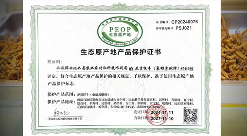 德耀娜秀 奮進(jìn)比如║熱烈祝賀！比如縣“亞貢牦?！比脒x農(nóng)業(yè)農(nóng)村部全國(guó)名特優(yōu)新農(nóng)產(chǎn)品名錄