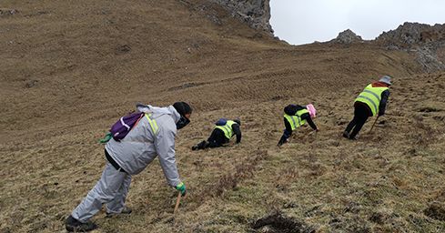 <a href=http://www.baduowang.com/sdph/zf/ target=_blank class=infotextkey>珍峰冬蟲(chóng)夏草</a>：源自世界屋脊的養(yǎng)生瑰寶