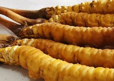 <a href=http://www.baduowang.com/sdph/zf/ target=_blank class=infotextkey>珍峰冬蟲夏草</a>主要的銷售模式