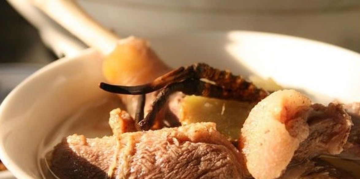 冬蟲夏草怎么吃？多種食用方法全解析