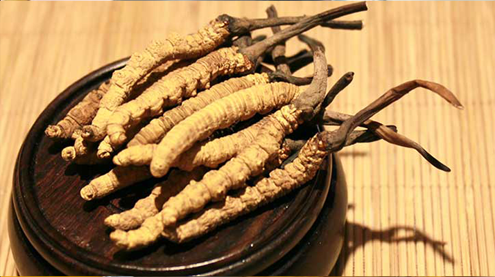 未來冬蟲夏草會漲價嗎？