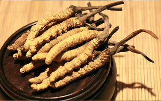 未來冬蟲夏草會漲價嗎？