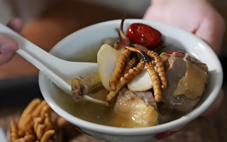 冬蟲夏草搭配有道，滋養(yǎng)肺部效果妙