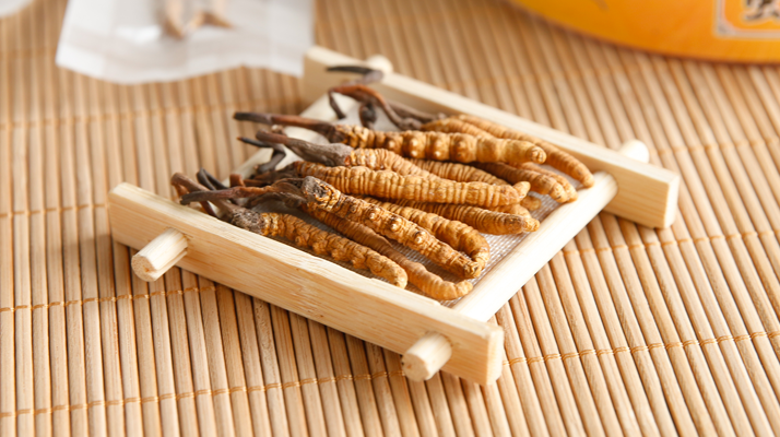 新鮮蟲(chóng)草價(jià)格多少錢一克