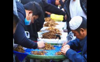 西寧冬蟲夏草交易中心：蟲草貿(mào)易的核心樞紐