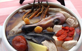 吃鮮冬蟲夏草會過敏嗎？