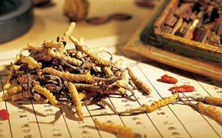 冬蟲夏草是什么長成的？揭秘其獨(dú)特的生長歷程