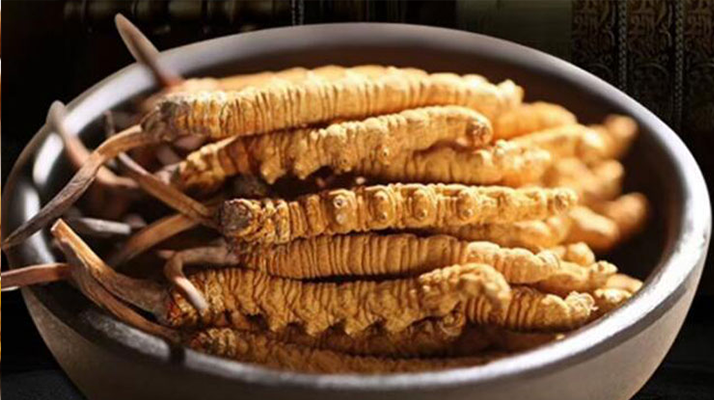 好的<a href=http://www.baduowang.com/jiage/ target=_blank class=infotextkey>冬蟲夏草多少錢</a>一克