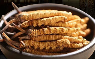 好的冬蟲(chóng)夏草多少錢(qián)一克