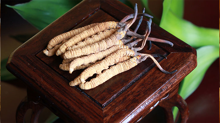 新鮮<a href=http://www.baduowang.com/jiage/ target=_blank class=infotextkey>冬蟲(chóng)夏草的價(jià)格</a>一根