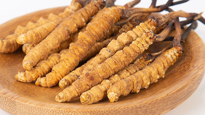 在西藏，冬蟲(chóng)夏草真的觸手可得？