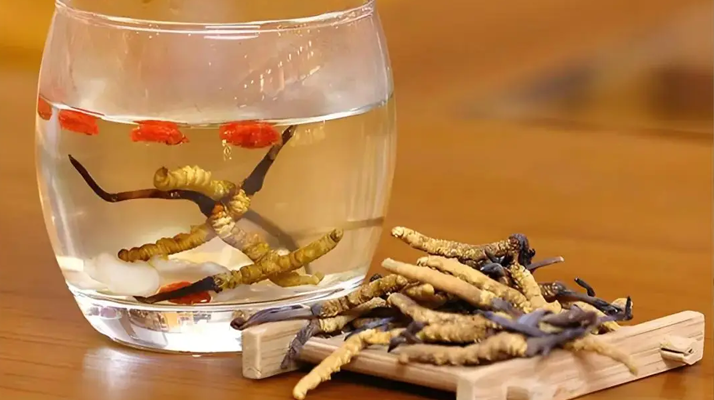 冬蟲(chóng)夏草與枸杞能一起泡酒嗎？科學(xué)搭配與飲用指南
