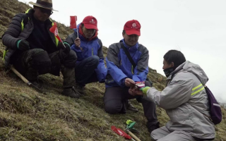 冬蟲夏草：把握最佳采摘季，守護自然饋贈