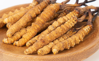 冬蟲夏草，真有那么大效果？
