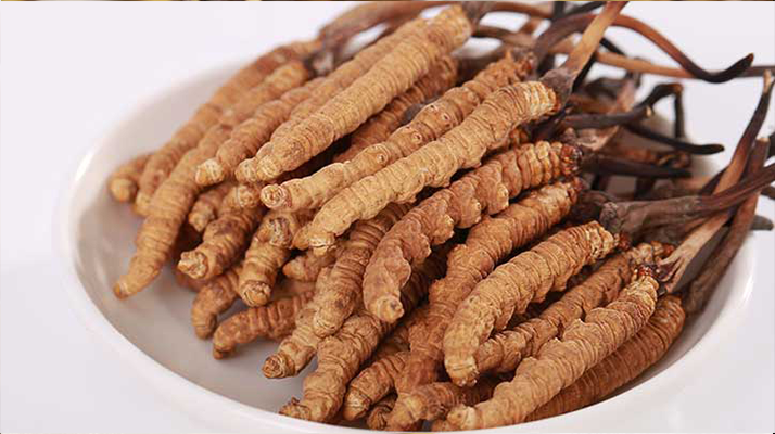 冬蟲(chóng)夏草小草：小身材也有大價(jià)值