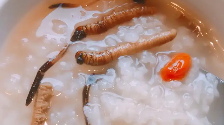 冬蟲夏草適合哪些人群？精準(zhǔn)匹配與禁忌提醒