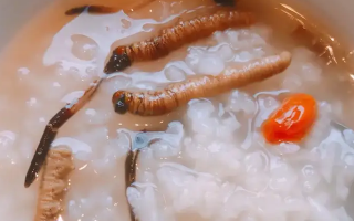 冬蟲夏草適合哪些人群？精準(zhǔn)匹配與禁忌提醒