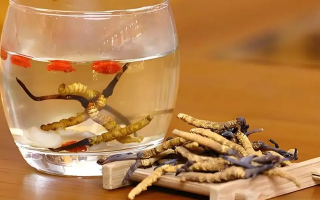 長期喝冬蟲夏草泡水好嗎？科學分析與飲用指南