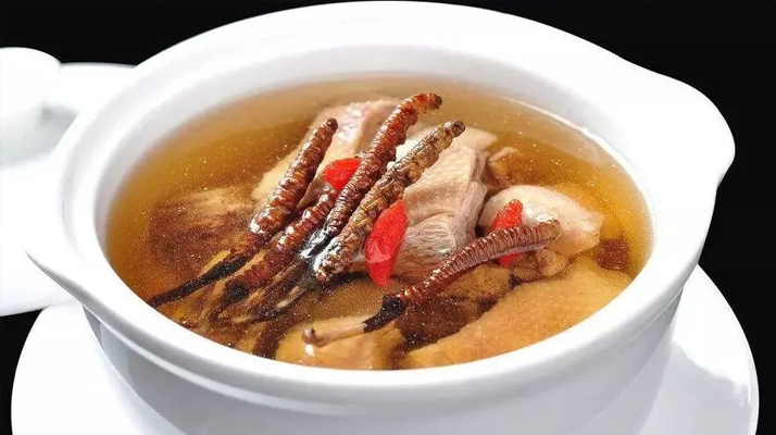 冬蟲夏草怎樣燉是最好的？掌握這幾步，營養(yǎng)不流失還美味