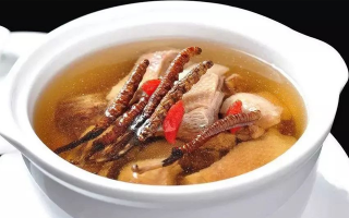 冬蟲夏草怎樣燉是最好的？掌握這幾步，營養(yǎng)不流失還美味