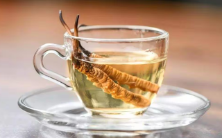 一瓶酒泡多少冬蟲(chóng)夏草？科學(xué)搭配有講究
