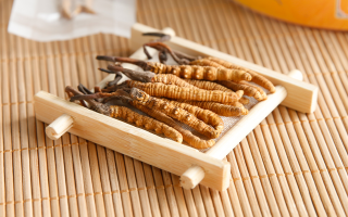 冬蟲夏草怎么燉比較好？解鎖營養(yǎng)不流失的燉煮指南