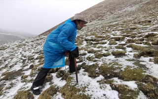 西藏挖冬蟲夏草在什么時候？產(chǎn)區(qū)與時間全攻略