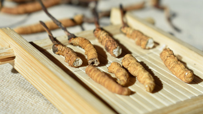 斷的<a href=http://www.baduowang.com/ target=_blank class=infotextkey>冬蟲夏草</a>一克啥價(jià)