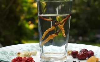 人參配蟲草泡酒，泡多久才好喝？咱跟你說實(shí)在的