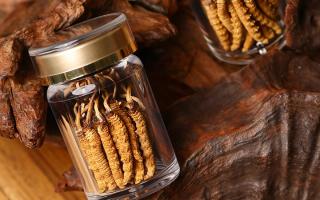 冬蟲夏草養(yǎng)生指南：分清滋補功效，避開養(yǎng)生誤區(qū)