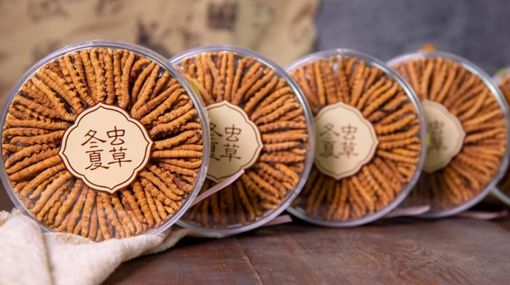 東強(qiáng)堂冬蟲夏草儲(chǔ)存防潮標(biāo)準(zhǔn)化操作清單