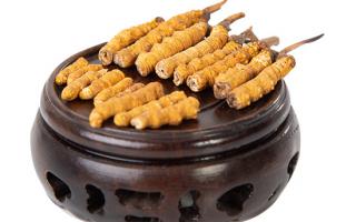 冬蟲夏草的頭期斷草好嗎？有沒有營養(yǎng)價值？